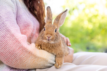 Obraz premium Asian woman holding healthy Lovely bunny easter fluffy rabbits, baby rabbit on posing on green garden leaves nature background. The Easter hares. Close up of a rabbit. animal symbol of easter day.