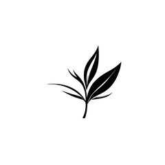 Elegant Black and White Plant Leaves Illustration: Minimalist Botanical Design