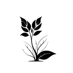 Monochrome Botanical Illustration: Elegant Plant Silhouette with Black and White Leaves, Minimalist Nature Design