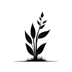 Fototapeta premium Elegant Black Plant Silhouette: Minimalist Botanical Vector Graphic