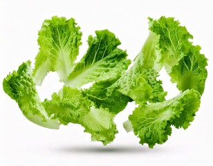 Fresh salad green lettuce leaves falling in the air isolated on white