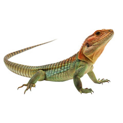 Fototapeta premium Caiman Lizard AI Generated Image