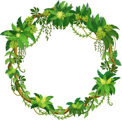 Fototapeta premium Liana frame of jungle ivy and tropical rainforest vine leaves, vector circle. Round liana frame with ivy vines and monstera leaves or tropical creeping tree and jungle bindweed plant in circle border