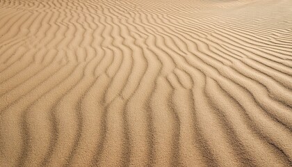 Obraz premium 砂浜のリアルなテクスチャ背景