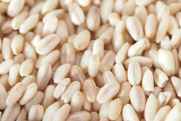 Pine nuts scattered on a clean surface for cooking