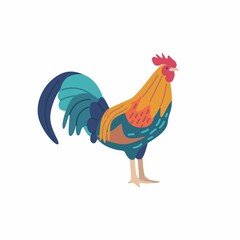 rooster isolated on white background