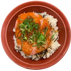 japanese food. chicken with rice, vegetables, vegetables and rice.