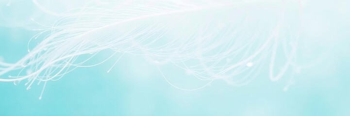 Close up macro shot of a white bird feather with water drops on a turquoise blue background, showcasing the purity and fragility of nature, purity, image