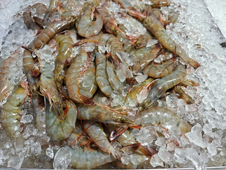 Fresh Shrimp on Ice in Seafood Market for Culinary Delights