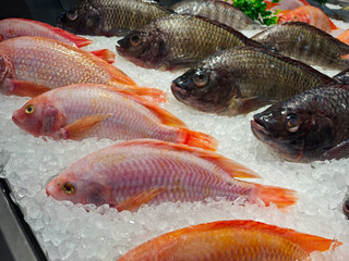 Fresh Fish Display on Ice at Seafood Market Stall