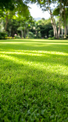Lush green park lawn, sunny day