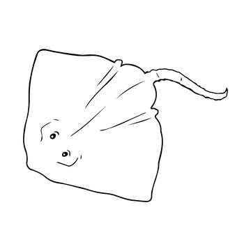 skate fish outline vector illustration
