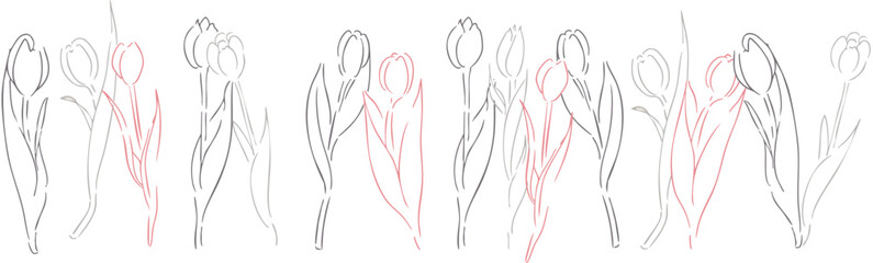 線画。チューリップの線画ベクターイラストセット。春のチューリップ背景。Line drawing. Tulip line drawing vector illustration set. Spring tulip background.