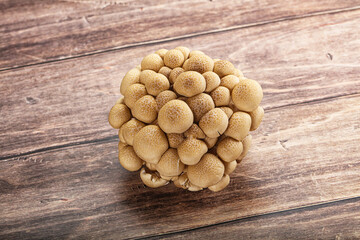 Raw asiam delicacy mushroom Shimeji