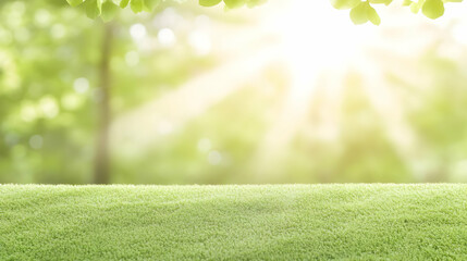 Naklejka premium Sunny park grass scene, nature backdrop