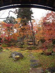 新潟 紅葉 中野邸