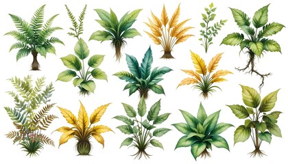 Various plant images, leaf background images