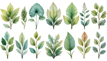 Various plant images, leaf background images