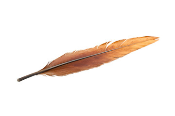 A solitary feather with beautiful shades of brown, resting elegantly on a white isolated background, showcasing its intricate details and textures.