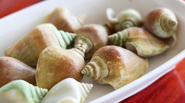 Conch Shells Served as Seafood Dish