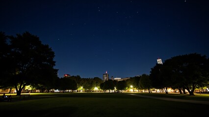A starry sky visible from an urban park, with city lights blending with the peaceful night scene.