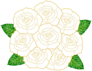 White rose flower transparent background PNG clipart