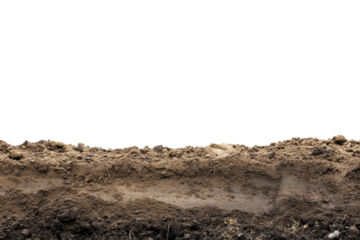 Cross section of soil layers showing dark upper soil, clay, and sandy layers with roots. Isolated on black background for environmental studies.