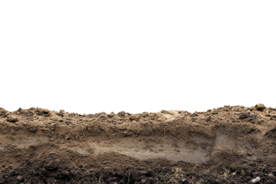 Cross section of soil layers showing dark upper soil, clay, and sandy layers with roots. Isolated on black background for environmental studies.