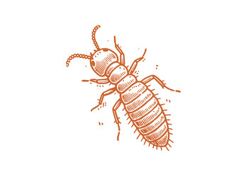 Termite hand drawn Illustration Sketch Vector Isolated
