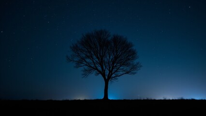 A solitary tree silhouetted against a starry sky, creating a peaceful, contemplative scene.