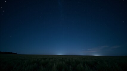 A vast, open field beneath a night sky filled with countless stars, creating a serene and peaceful scene.
