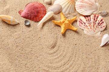 Beautiful seashells and starfish on sand