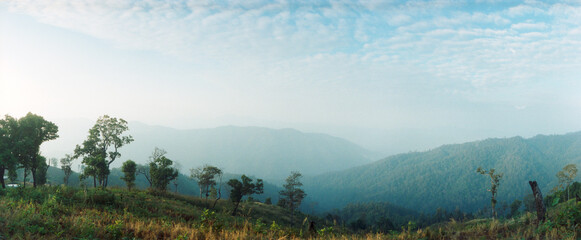 Panoramic view of trees on a hill, Chiang Mai, Thailand.