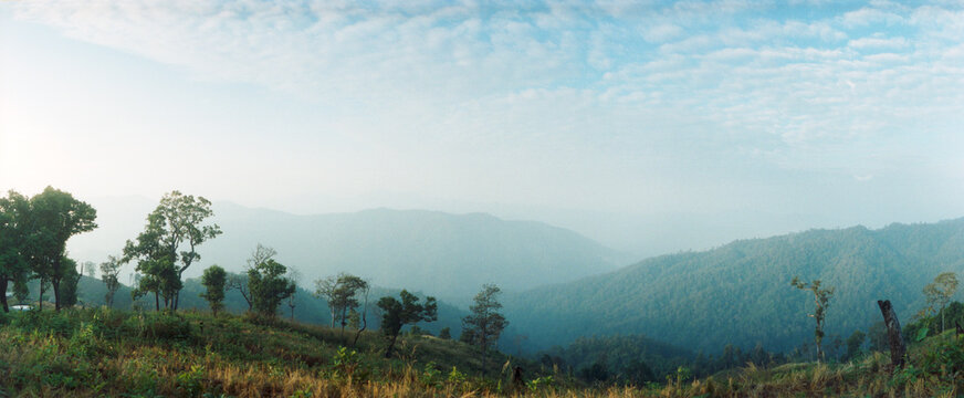 Panoramic view of trees on a hill, Chiang Mai, Thailand.
