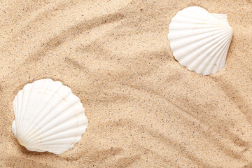 Beautiful seashells on beige beach sand