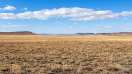 Obraz premium Midday sky with a few scattered clouds creating natural frames for wide open copy space.