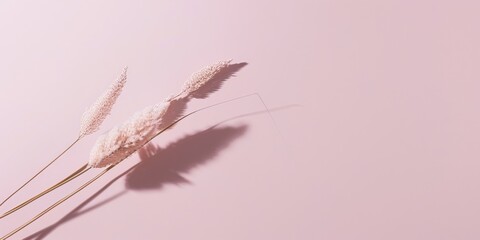 Obraz premium A minimalist aesthetic featuring a light dusty rose backdrop, Minimalist design elements arranged symmetrically, Modern minimalist style