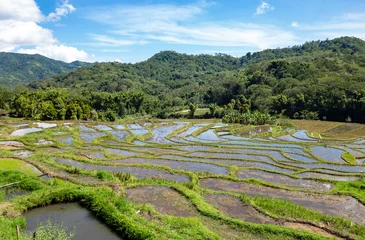 Fototapete Rund Rice fields, Island Flores, Indonesia, Southeast Asia. © Iryna Shpulak