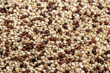 Close-up of mixed quinoa grains with detailed texture.