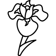 Iris Line Icon