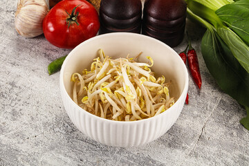 Soya bean sprouts in the bowl