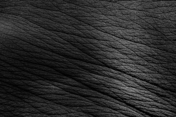 abstract, africa, african elephant, animal body, animal skin, animal wildlife, asia, background, backgrounds, brown, cowhide, cracked, decoration, detail, elephant, elephant skin, environment, full, g