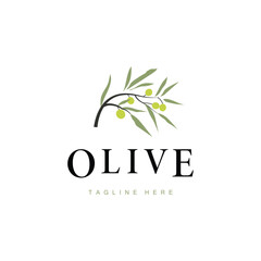 simple olive logo design olive fruit plant symbol of beauty and spa business brand template