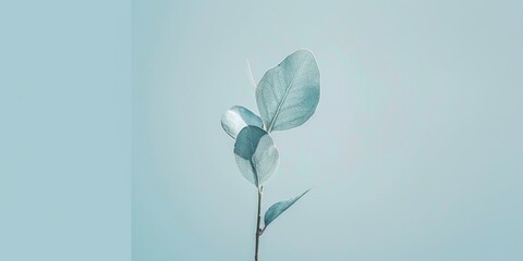 A minimalist aesthetic featuring a light steel blue backdrop, Crisp lines and minimal textures, Modern minimalist style