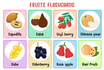 Fruits flashcard collection for children education, printable montessori material
