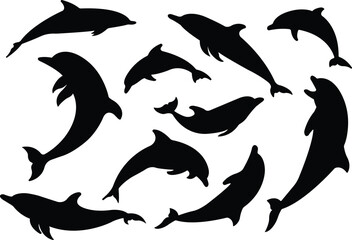 Jumping dolphin fish icon in flat set. vector for apps or website dolphin leaps over the water art sketch style marine mammal Bottlenose dolphin isolated on transparent background
