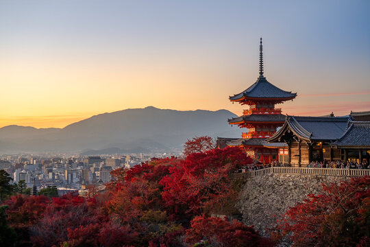 sunset at Kiyomizu Dera Pagoda Temple with red maple leaves or fall foliage in autumn season. Colorful trees, Kyoto, Japan - Powered by Adobe
