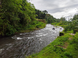 Stream with clear water in tropical forest.