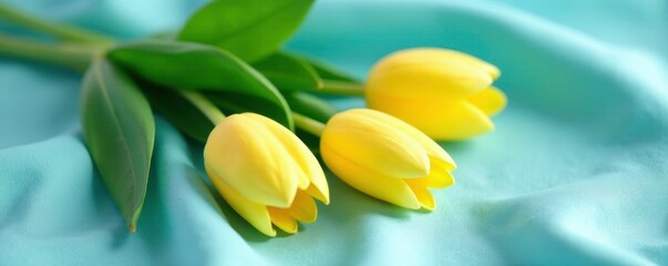 Obraz premium Soft yellow tulips with delicate green leaves on a light blue silk fabric, green leaves, soft yellow, loose florals