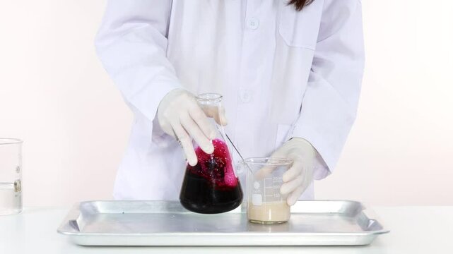 Science Experiment with Catalyst Reaction